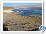 Laguna colorada-2