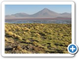 Laguna colorada-3