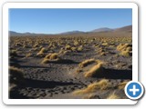 Pampa Laguna colorada