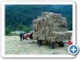 Transport du foin