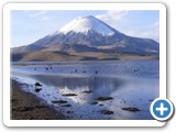 Volcan Parinacota